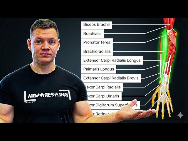 What Muscles Are Used in Armwrestling?